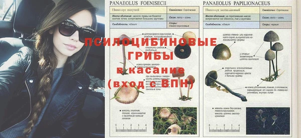MDMA Михайловск